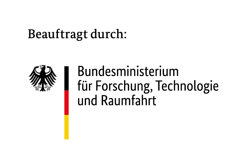 beauftragt durch BMFTR